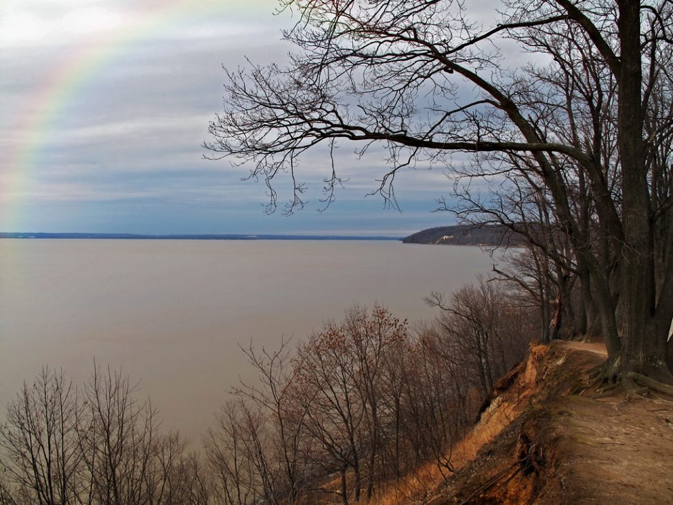 Turkey Point, March 11, 2011